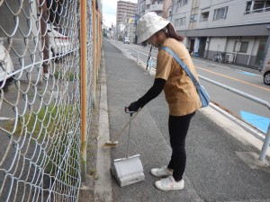 DSCN1382