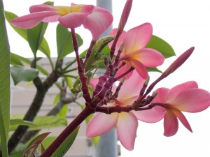 P9230368